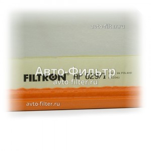 Filtron AP 029/1